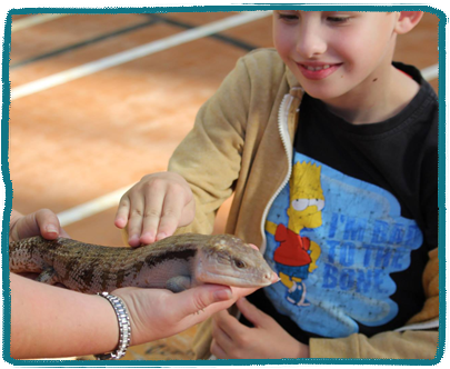 Animal Workshop Kids Holiday Camp Essex